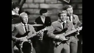 NEW 📀 I Fought The Law - Bobby Fuller Four {Stereo} 1966