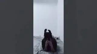 Hottest Bugs Bunny New TikTok Challenge 