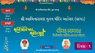 Adesar Mandir (Vagad) - Murti Pratishtha Mahotsav - Day 1 Morning