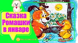 Сказка Ромашки в январе