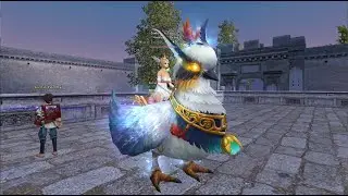 Belajar TTR Server Lotus - Perfect World Indonesia