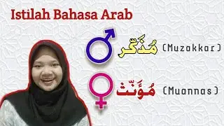 Muzakkar dan Muannas (beserta contohnya) | ISTILAH dalam BAHASA ARAB
