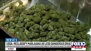 DEA set to reclassify marijuana