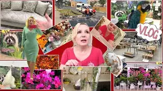 VLOG// ЗАКАЗАЛА НОВЫЙ ДИВАН🛋️,  СПЛЕТНИ ОБО МНЕ🫢,  УСТАВШИЕ ЖИВОТНЫЕ🐒, АВАРИЯ НА ДОРОГЕ 🚐и пр.
