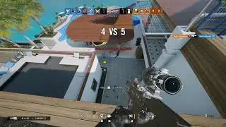 potato