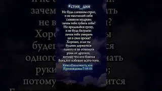 Не предавайся греху! #shorts #грех #стих_дня #духовность #вера #библия #христианство #Бог