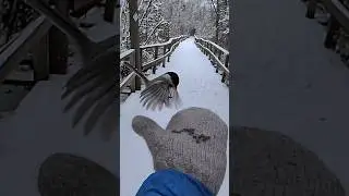This is the COOLEST thing EVER!  