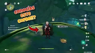 Cofre lujoso en el Vanarana | guía rápida Sumeru | Genshin Impact