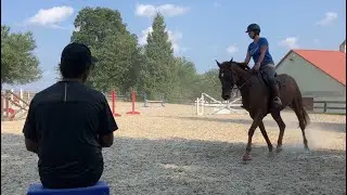 Mondeuse Jumping Clinic WARM UP 08142024