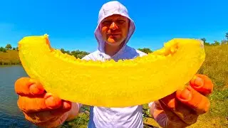 Херсонська диня 🍈 круто відрибалили