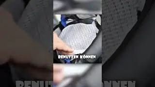Hunde die richtig Auto Fahren