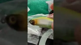 unboxing de señuelos para pescar robalos