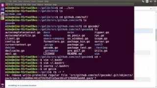 Introduction to Go, part 2: Setting Up a Development Environment