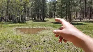 Pond Layout (Cuba, NM)
