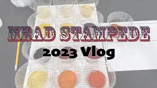 MEAD STAMPEDE 2023 // Vlog & What I Learned This Year