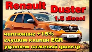 Renault Duster 1.5 diesel: removing the diesel particulate filter, blocking the EGR valve, chip t...