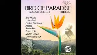 Bird Of Paradise Riddim (OFFICIAL MIX) Feat. Perfect Giddimani, Lutan Fyah, Fredlocks (June 2023)