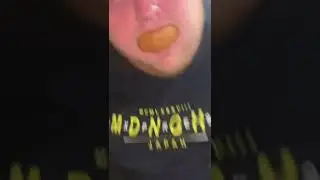 бобр семён 