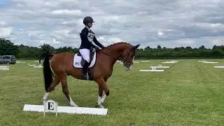 TJ BCA Dressage