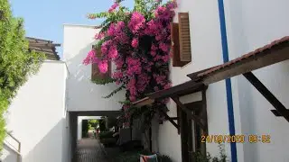 Club Kastalia Holiday Village 5* сентябрь 2020.