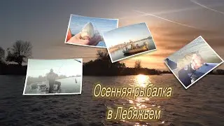Осенняя рыбалка в Астраханской области.