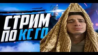 ИГРАЕМ В ИГРЫ #DOTA2 #CS2 #APEX  #stream #csgo