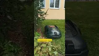 21.08.24г🌹Натуральная природа и прогресс!!!😊