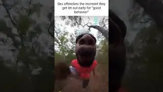 Sex Offenders the Moment They Get Out Early for Good Behavior