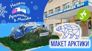 Макет Арктики | Технологический колледж №34 | «Недели Арктики в Москве – 2024»