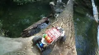 HSP Pangolin 1:10