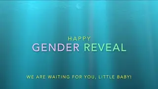 Gender Reveal - Baby Navarro Orozco