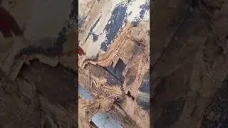 Результат протечки на скатной кровле 😐 #кровельныеработы #монтажкровли