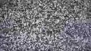 TV noise