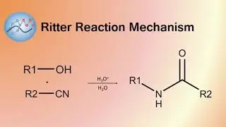 Ritter Reaction Mechanism | Organic Chemistry