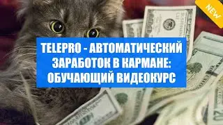 Заработок школьнику зимой