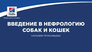 Вебинар №1 школы НЕФРОУРОВЕТ: 