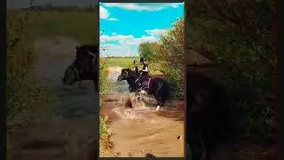 ты российская дорога