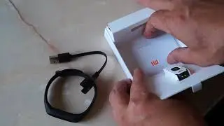 Оригинальный Xiaomi Mi Band 2  с Гирбеста