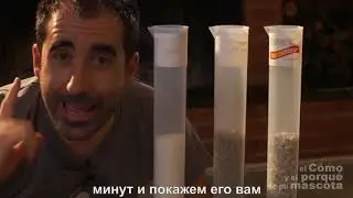 Тест на впитывание наполнителя для клеток "Naturlitter" CUNIPIC