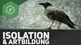 Isolation & Speciation - Evolutionary Factors 5