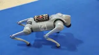 23 апреля 2024 г.