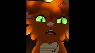 Белка|Беличья Звезда|Эдит #WarriorCats #Rek #Edit #rekomend #РЕКИ #ПжАктив