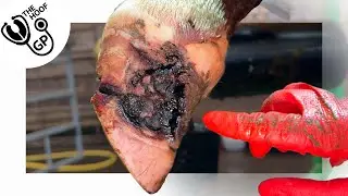 this was WORSE than I thought!!