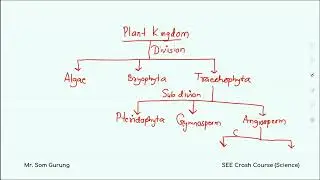 Classification of Living Organism: SEE (Grade 10) - Science | Learnsic | Day 24