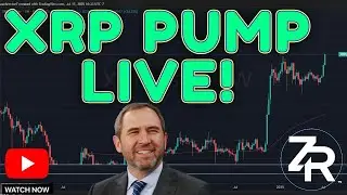 XRP PUMP Live!
