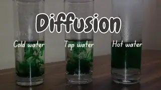 The Effect of Temperature on the Rate of Diffusion