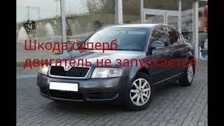 не заводится Шкода Суперб