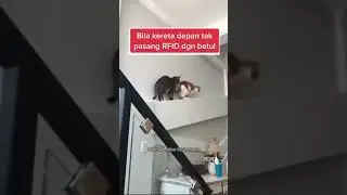 Ini la punca jem kat tol