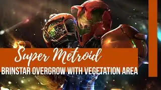 Super Metroid - Brinstar Overgrown with Vegetation Area
