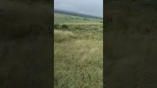 Авторский ответ на комментарии граждан-адептов торговой корпорации)))